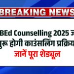 UP BEd Counselling 2025