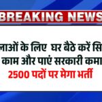 Silai Vacancy 2025