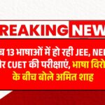 NEET Language Options